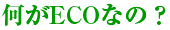 何がECOなの?